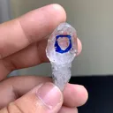 specimen video