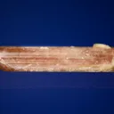 Eosphorite - image 4