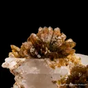 Eosphorite on Quartz - image 5