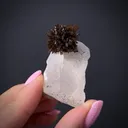 Eosphorite on Quartz - image 2