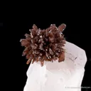 Eosphorite on Quartz - image 1
