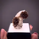 Eosphorite on Quartz - image 2