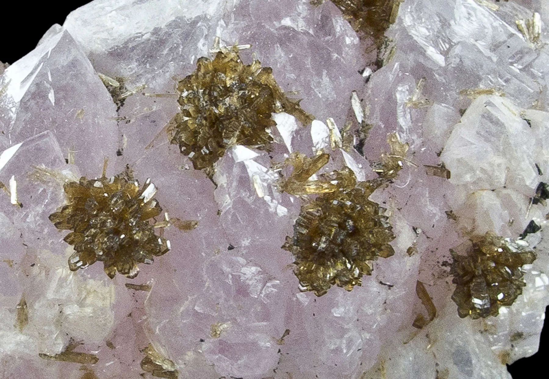 Eosphorite on Rose Quartz - image 3