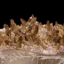 Eosphorite on Rose Quartz, on Quartz - image 1