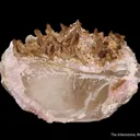 Eosphorite on Rose Quartz, on Quartz - image 2