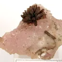 Eosphorite on Rose Quartz With Zanazziite - image 1