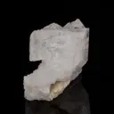 Epididymite - image 3