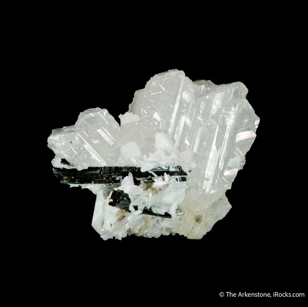Epididymite image