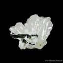 Epididymite - image 1