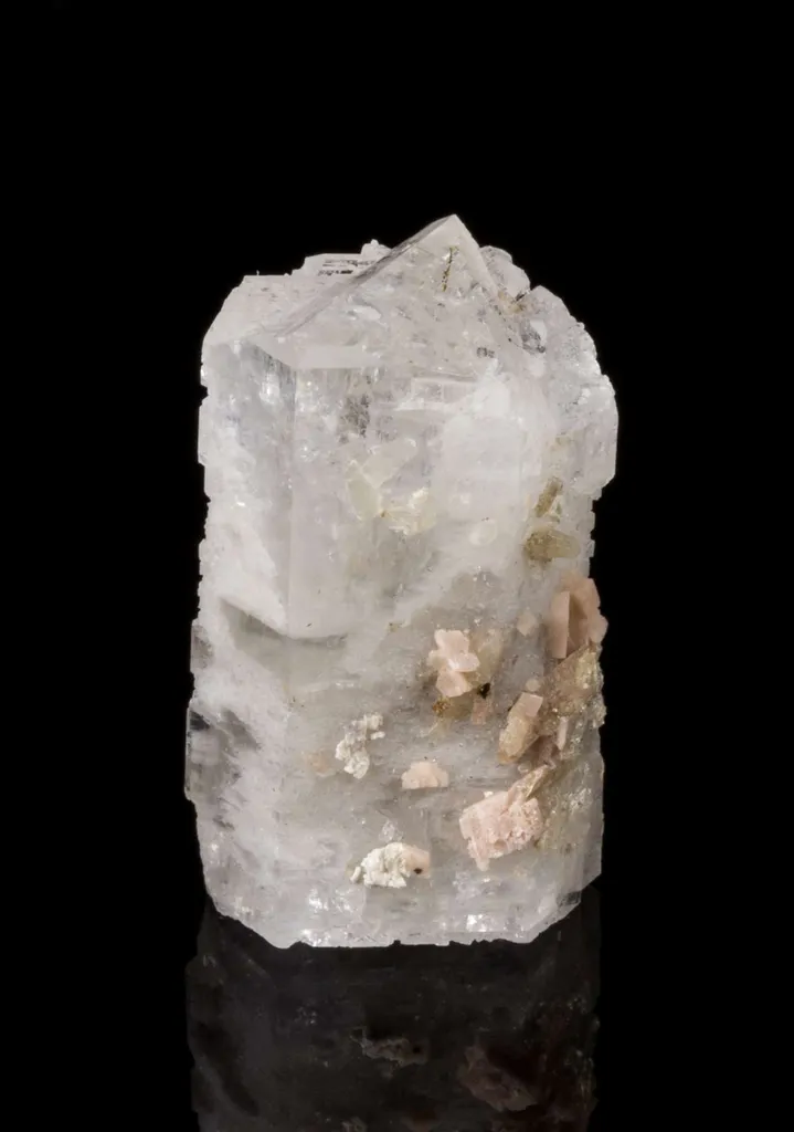 Epididymite image
