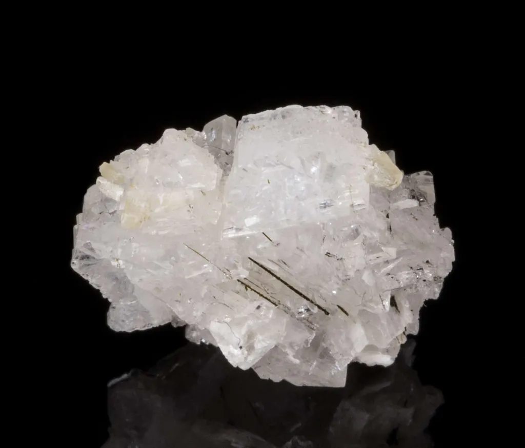 Epididymite - image 3