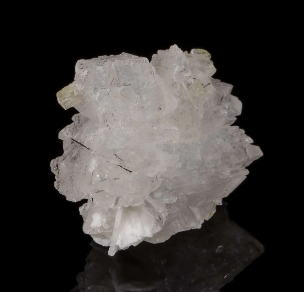 Epididymite - image 2