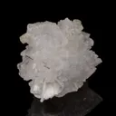 Epididymite - image 2