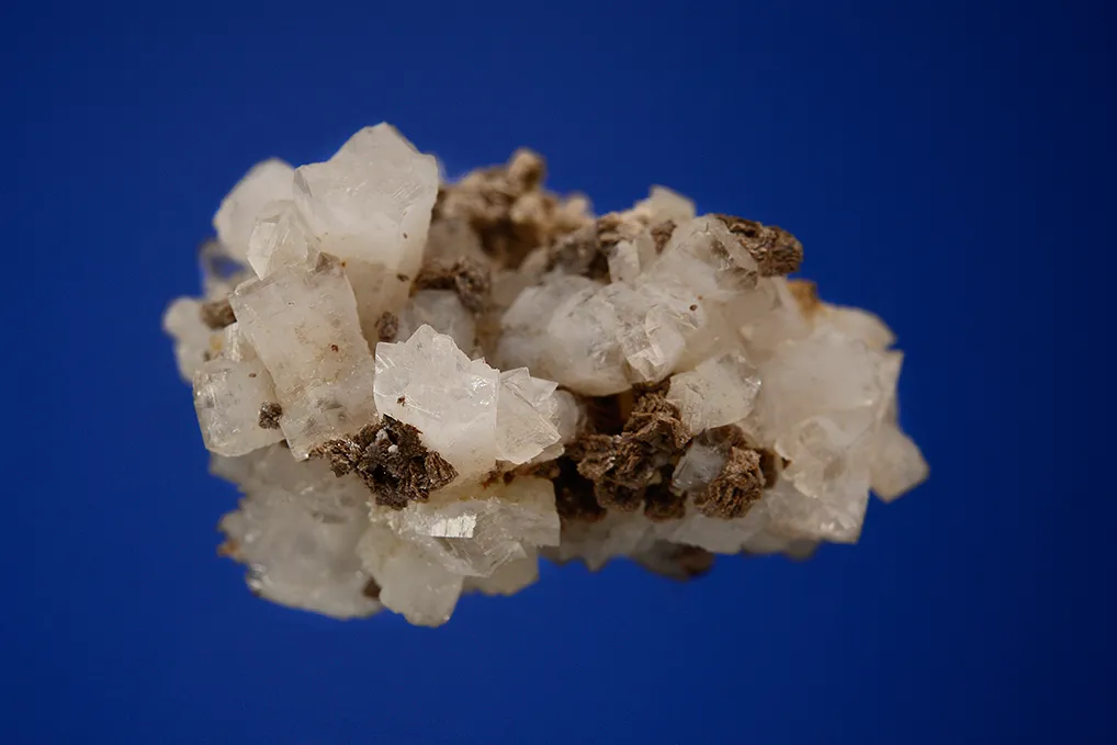 Epididymite - image 2