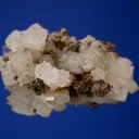 Epididymite - image 2