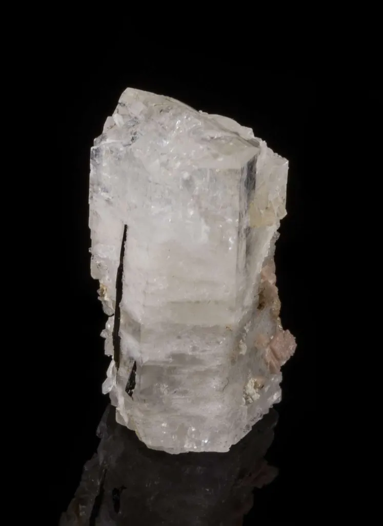 Epididymite - image 2