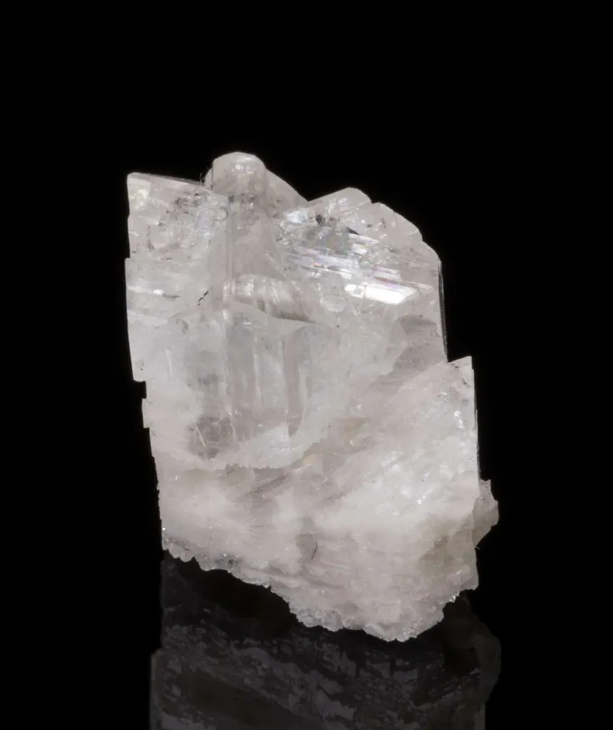 Epididymite - image 2