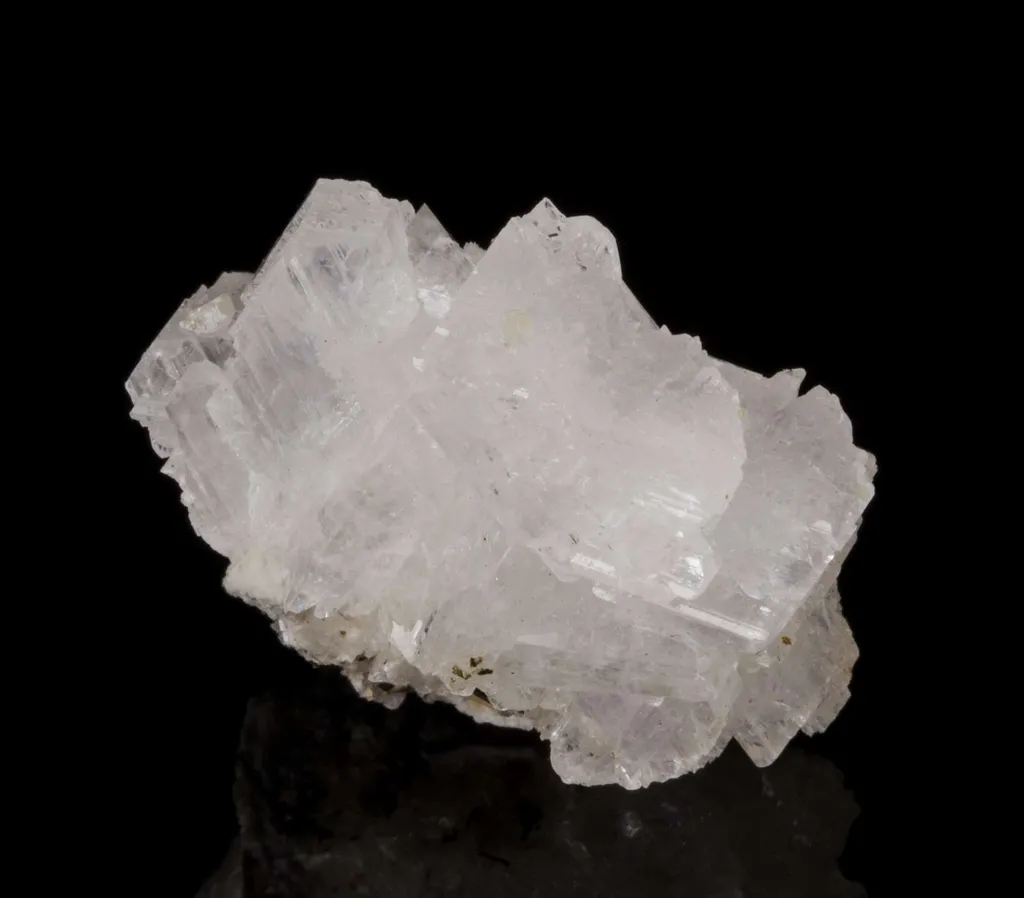 Epididymite - image 2