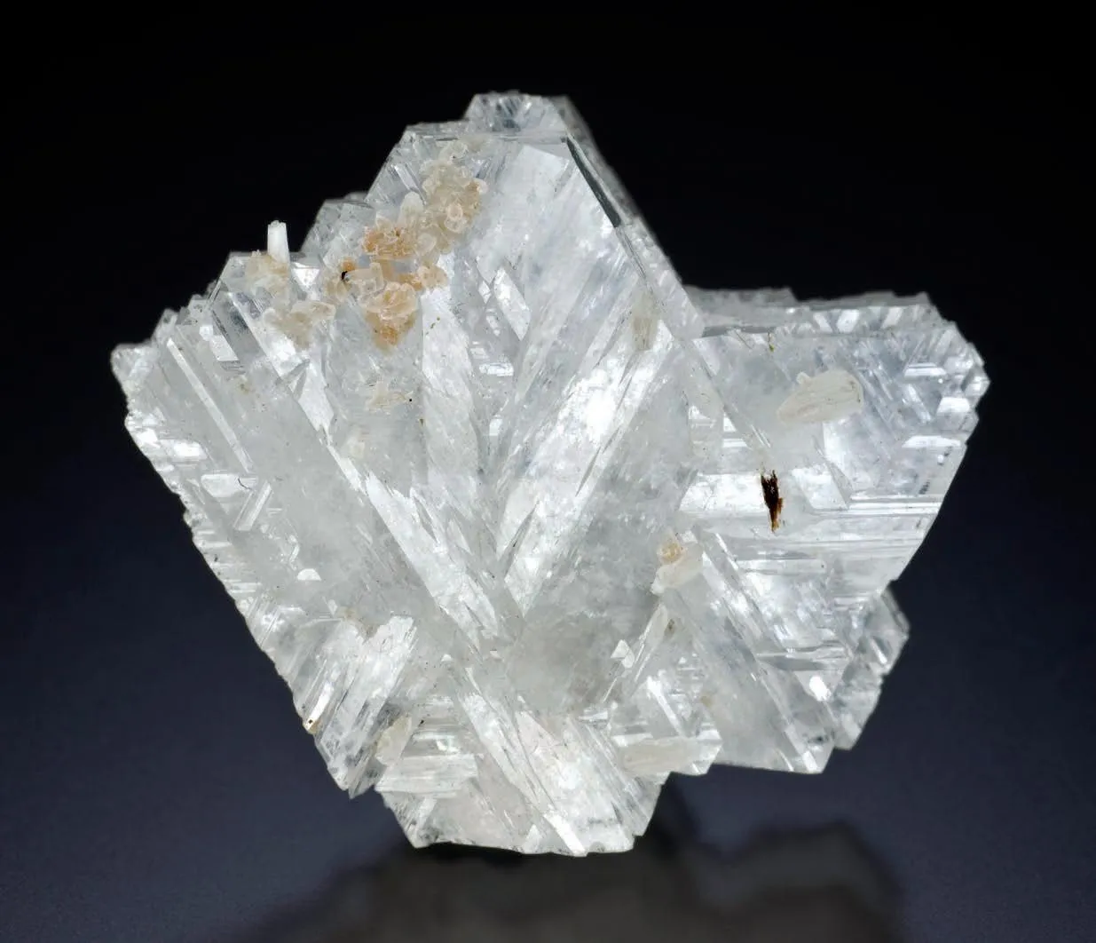 Epididymite - image 1