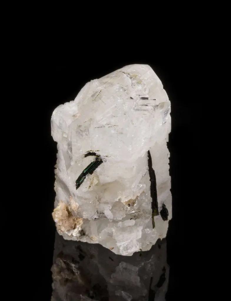 Epididymite - image 3