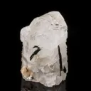 Epididymite - image 3