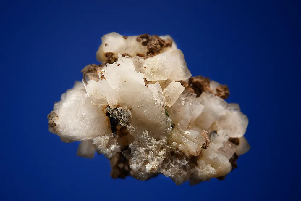Epididymite - image 3