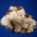 Epididymite - image 3