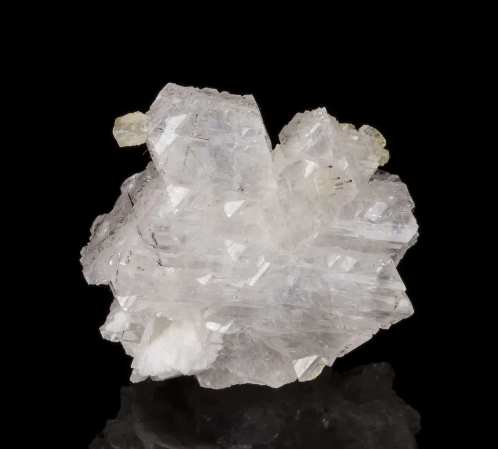Epididymite image