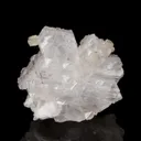 Epididymite - image 1