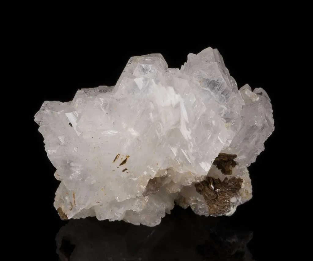 Epididymite - image 3