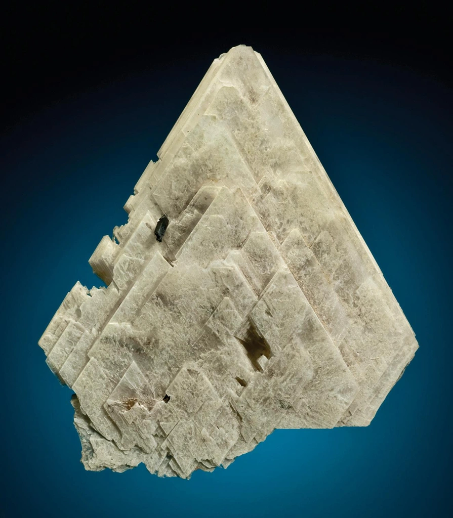 Epididymite from Mount Malosa, Southern Region, Malawi - image 1