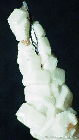 Epididymite on Aegirine image