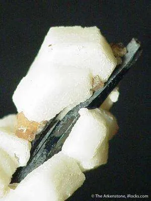 Epididymite on Aegirine - image 2