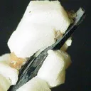 Epididymite on Aegirine - image 2