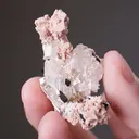 Epididymite with Aegirine and Rhodochrosite - image 2