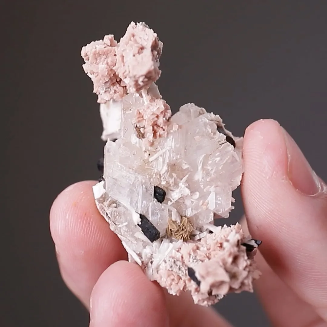 Epididymite with Aegirine and Rhodochrosite - image 2