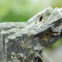 Epidote 376 grams - Bafoulabé Circle, Kayes Region, Mali - image 2