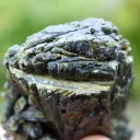 Epidote 384 grams - Bafoulabé Circle, Kayes Region, Mali - image 6