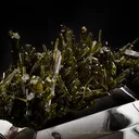 Epidote - image 2