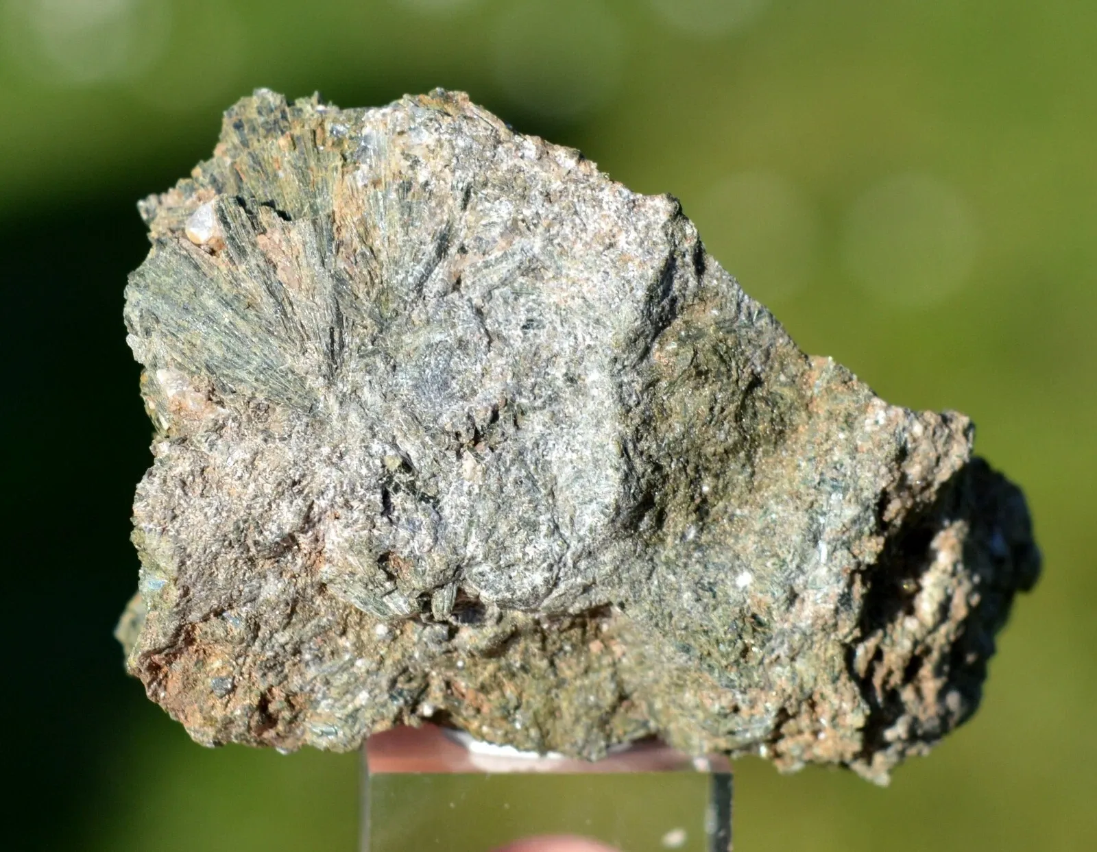 Epidote 62 grams - Colle d'Orano, Marciana, Livorno Province, Tuscany, Italy - image 4