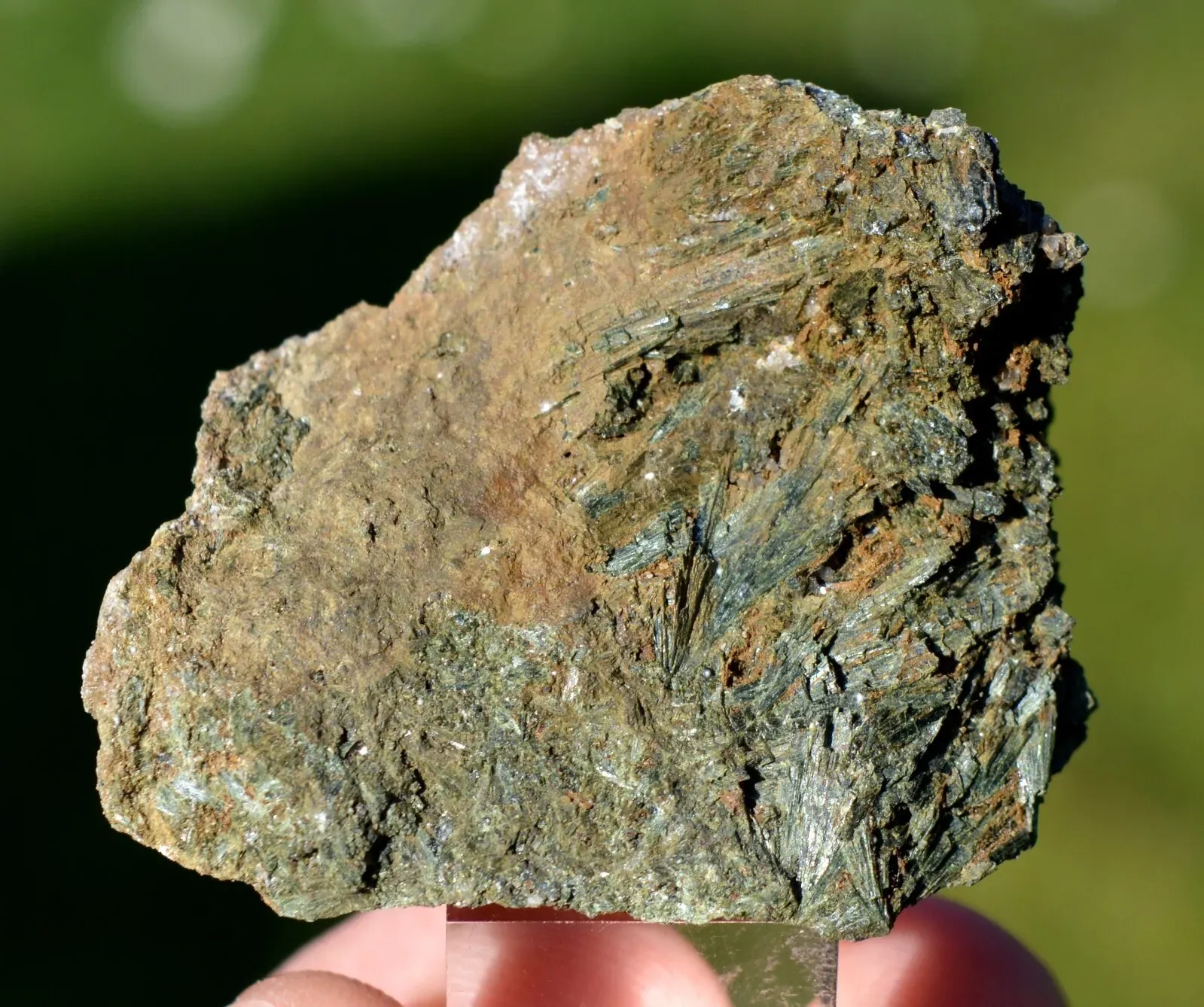 Epidote 62 grams - Colle d'Orano, Marciana, Livorno Province, Tuscany, Italy - image 1