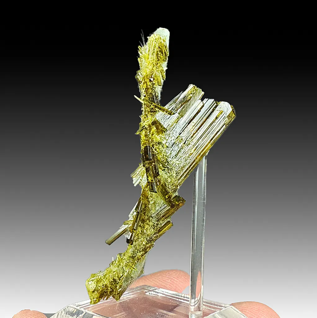 Epidote image