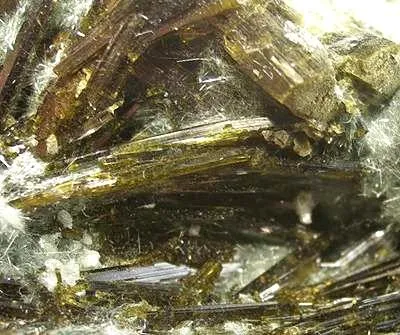 Epidote, Actinolite (Var: Byssolite) - image 2