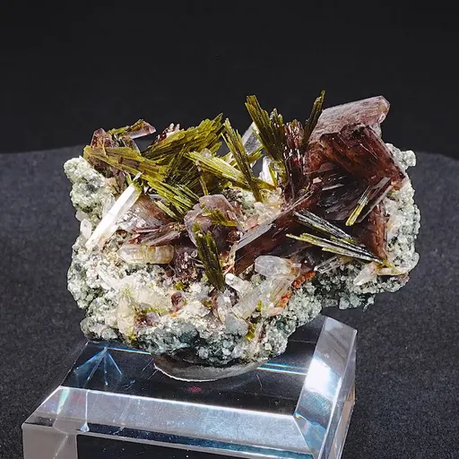 specimen video