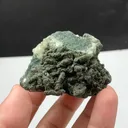 specimen video