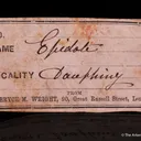 Epidote (circa mid-1800s) - image 4