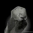 Epidote (DT) with Quartz (DT) - image 6