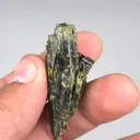 specimen video