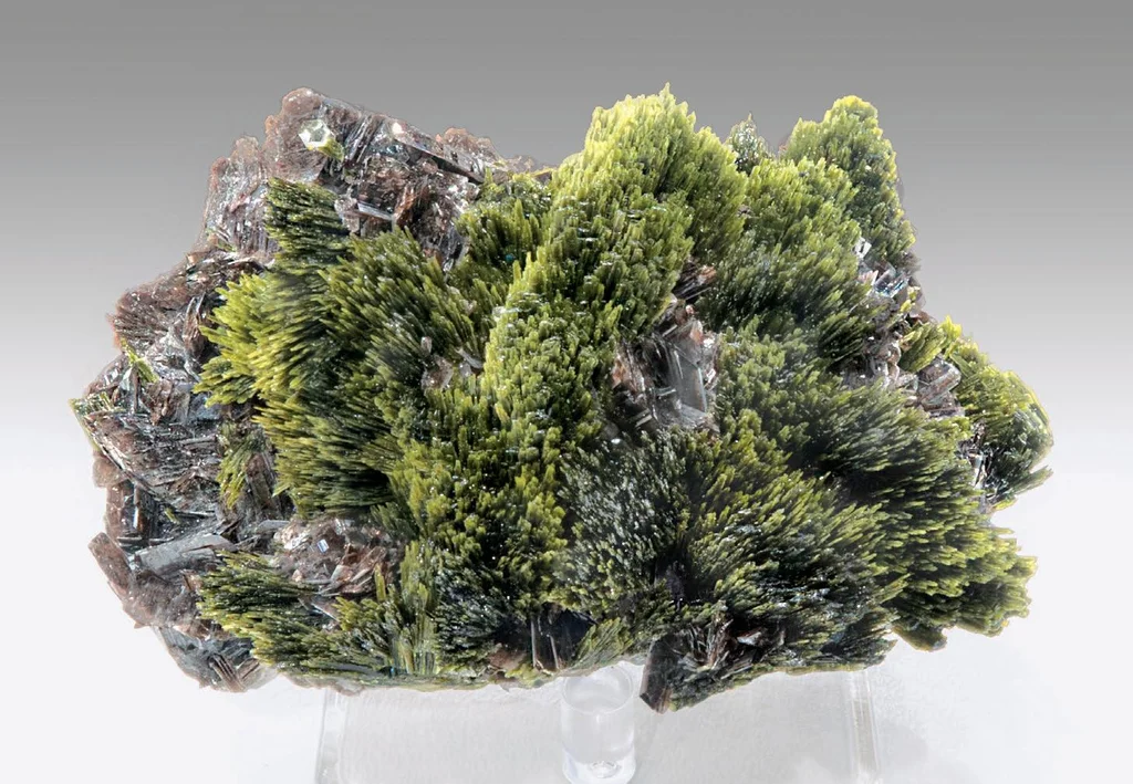 Epidote from Lima, Peru image