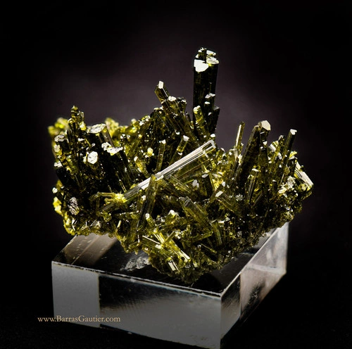 Epidote from Massif de Belledonne image